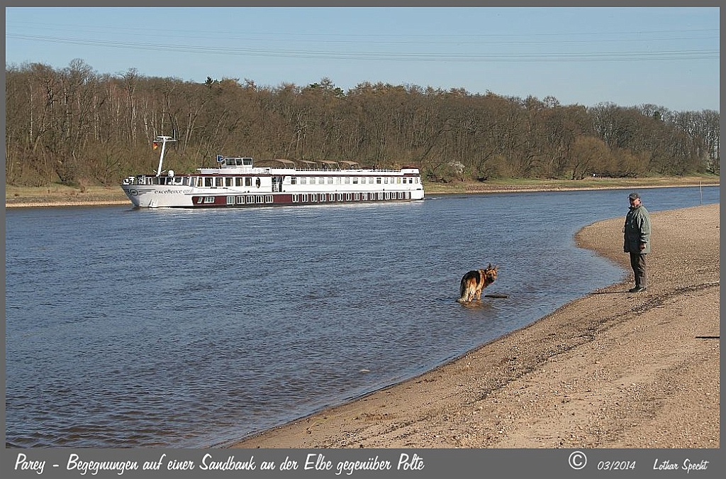 Parey-Elbe-Sandbank-2014_03_20-010.jpg