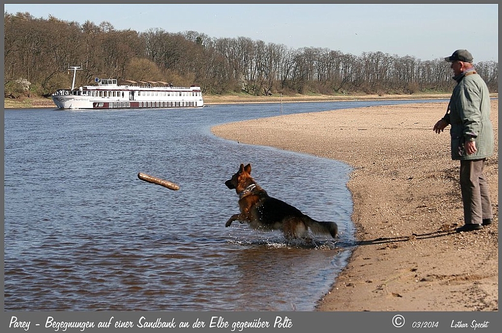 Parey-Elbe-Sandbank-2014_03_20-011.jpg