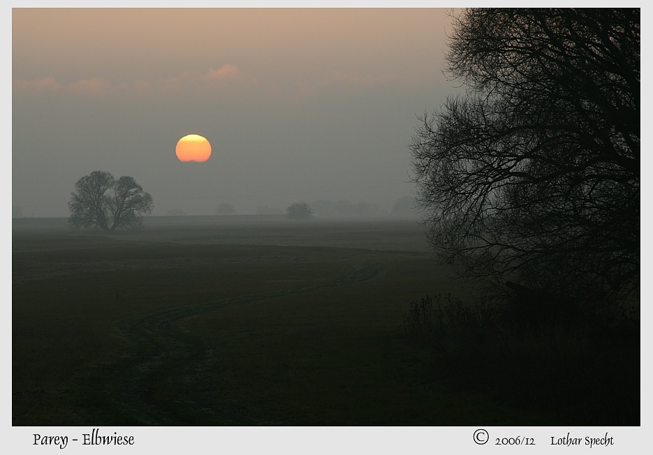 2008_09_28-Parey-Elbwiese-Sonnenuntergang-2006_12_26-web.jpg