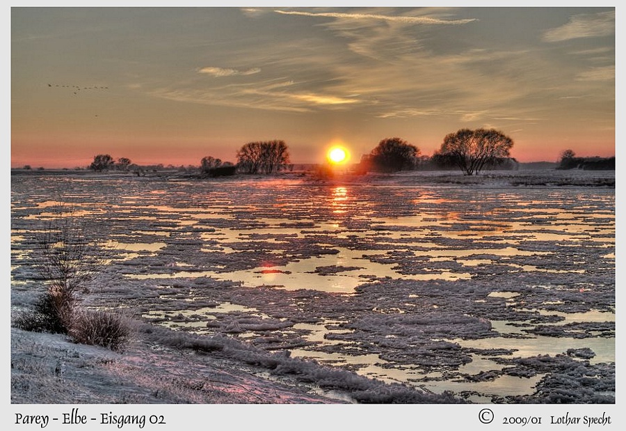 2009_02_07-Parey-Elbe-Eisgang-2009_01_06-005-web.jpg