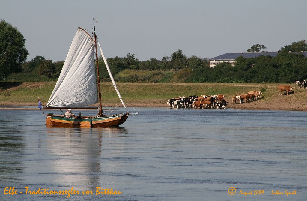 2009_08_17-Parey-Elbe-Segelboot-2009_08_16-003.JPG