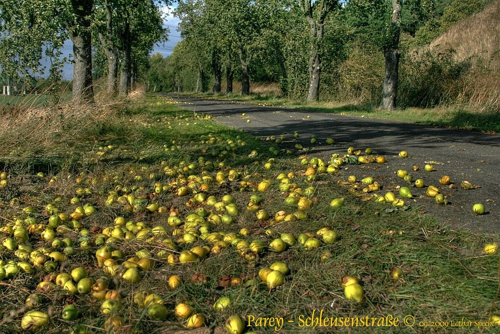 2009_10_17-Parey-Schleusenstrasse-2009_10_07-web.jpg