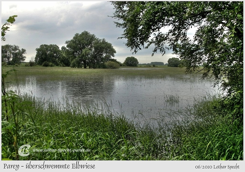 2010_06_25-003-Parey-Elbwiese_unter_Wasser-2010_06_11.JPG