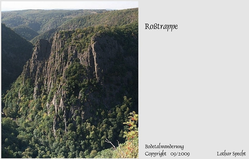 Harz-Bodetal-010-September_2009-Hexentanzplatz-Rosstrappe.JPG