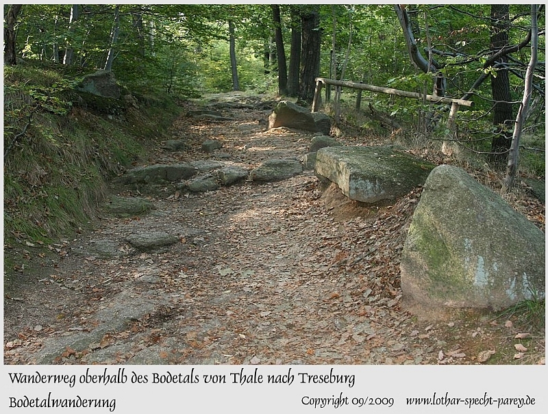 Harz-Bodetal-019-September_2009.jpg