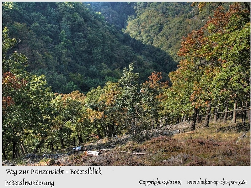 Harz-Bodetal-022-September_2009.jpg