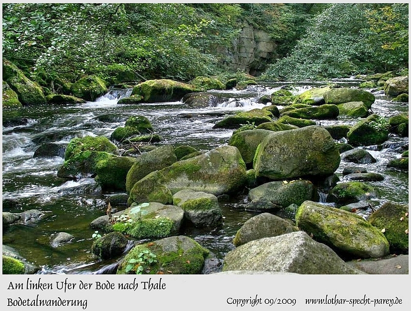 Harz-Bodetal-100-September_2009.jpg