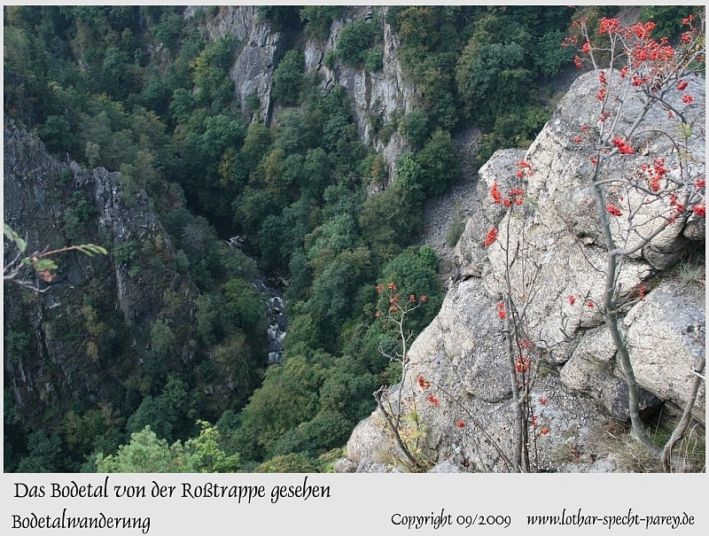 Harz-Bodetal-120-September_2009.jpg