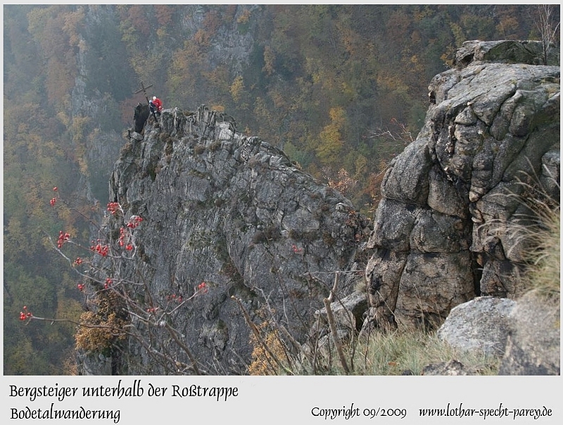 Harz-Bodetal-122-September_2009.jpg