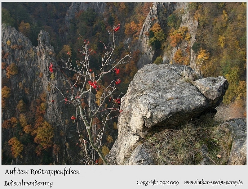 Harz-Bodetal-124-September_2009.jpg