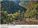 Harz-Bodetal-022-September_2009