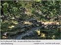 Harz-Bodetal-065-September_2009