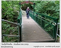 Harz-Bodetal-075-September_2010-Teufelsbr&uuml;cke