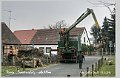 Parey-Friedensplatz-alte_Ulme-018