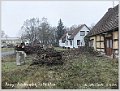 Parey-Friedensplatz-alte_Ulme-020