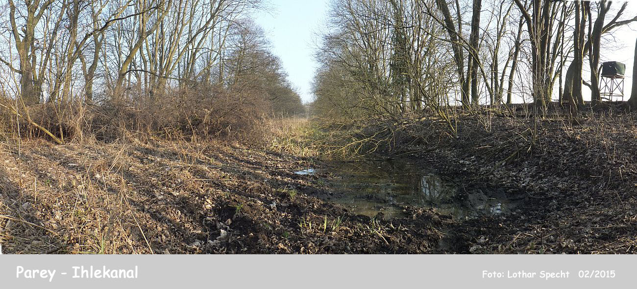 04-Parey-Am_alten_Ihlekanal-2015_02_16-002.jpg