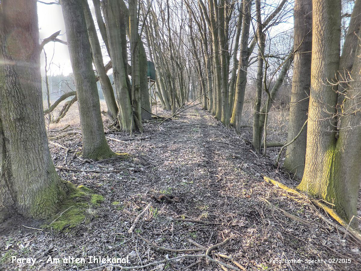 05-Parey-Am_alten_Ihlekanal-2015_02_14-006.jpg