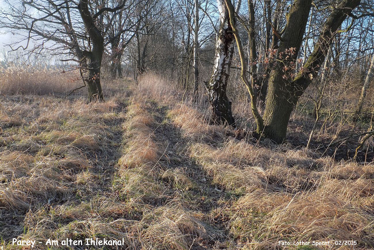 07-Parey-Am_alten_Ihlekanal-2015_02_14-0024.jpg