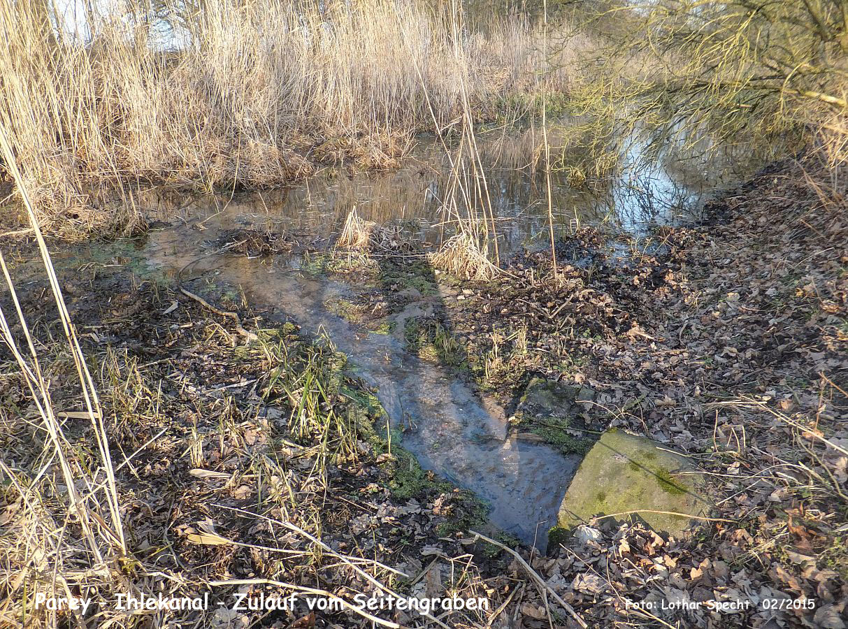10-Parey-Am_alten_Ihlekanal-2015_02_16-005.jpg