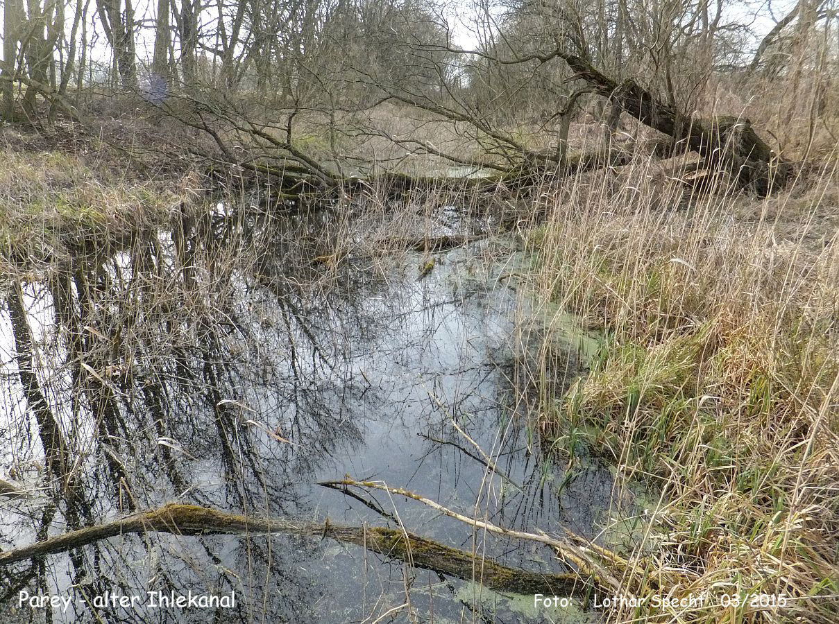 14-Parey-Am_alten_Ihlekanal-2015_03_08-008.jpg