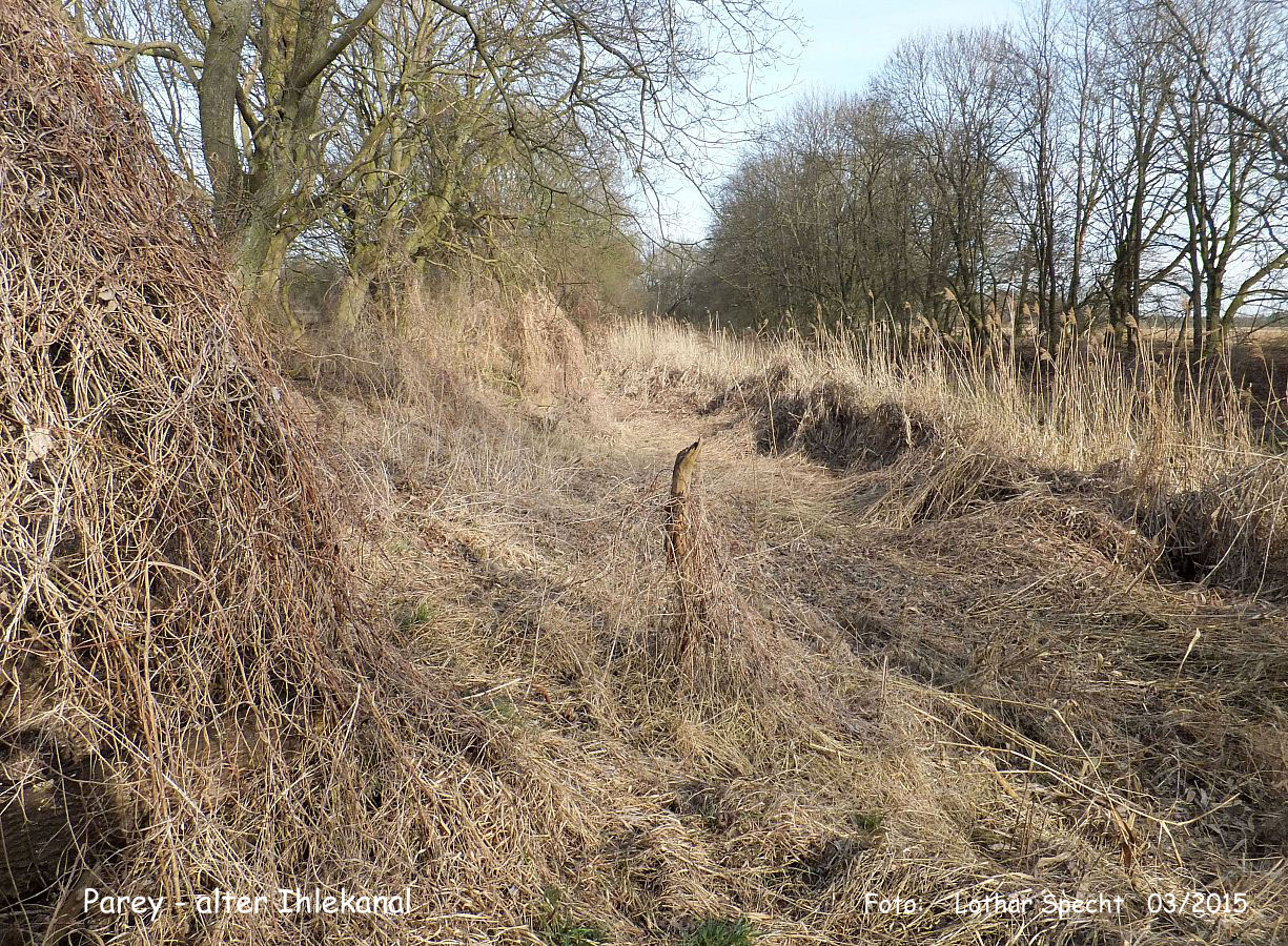 17-Parey-Am_alten_Ihlekanal-2015_03_08-001.jpg