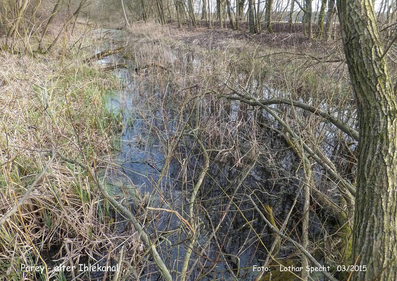 18-Parey-Am_alten_Ihlekanal-2015_03_08-007.jpg