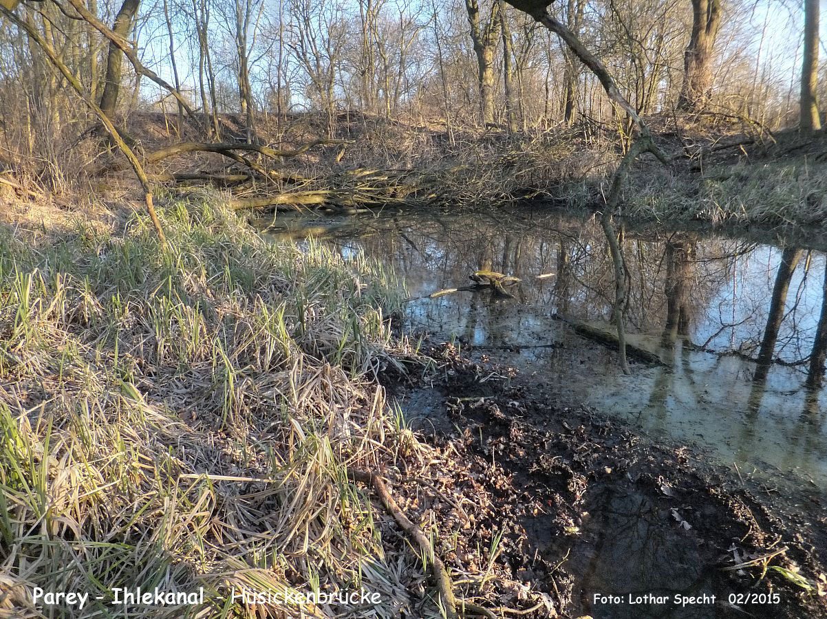 19-Parey-Am_alten_Ihlekanal-2015_02_26--003.jpg