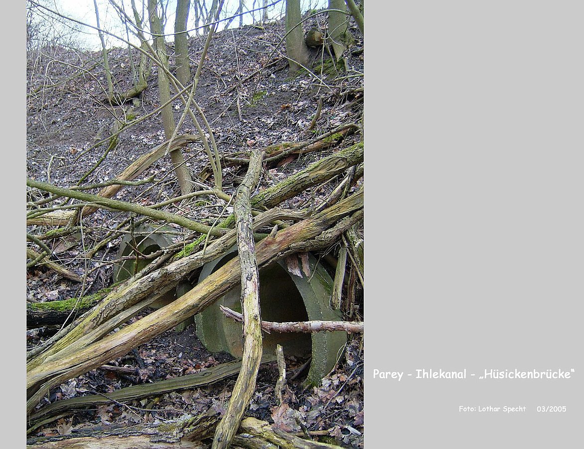 20-Parey-Am_alten_Ihlekanal-2005_03_20-002.JPG