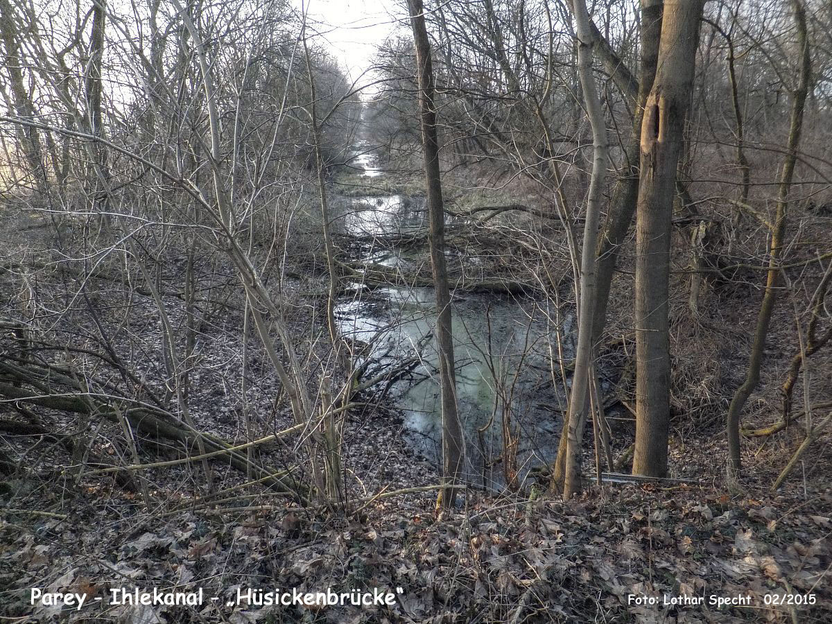 25-Parey-Am_alten_Ihlekanal-2015_02_16-008.jpg