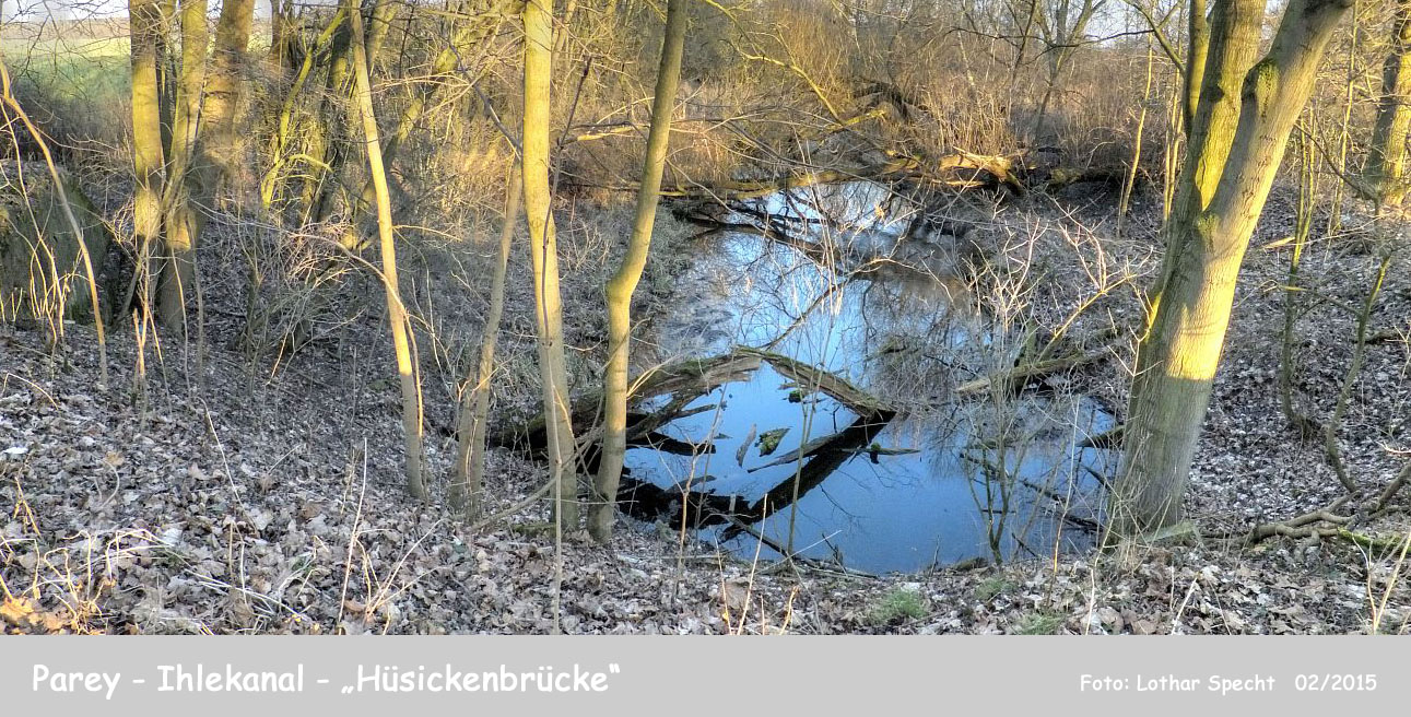 25-Parey-Am_alten_Ihlekanal-2015_02_26--001.jpg