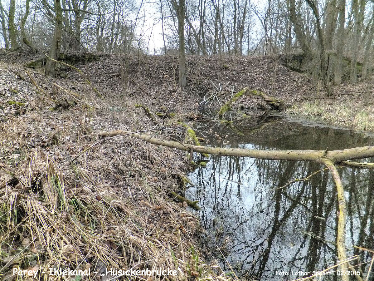 27-Parey-Am_alten_Ihlekanal-2015_02_24-001.jpg