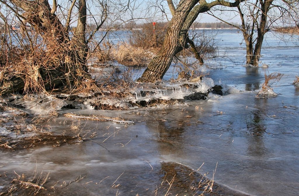2012_02_01-Parey-Elbe-Eis_nach_Winterhochwasser-001.jpg