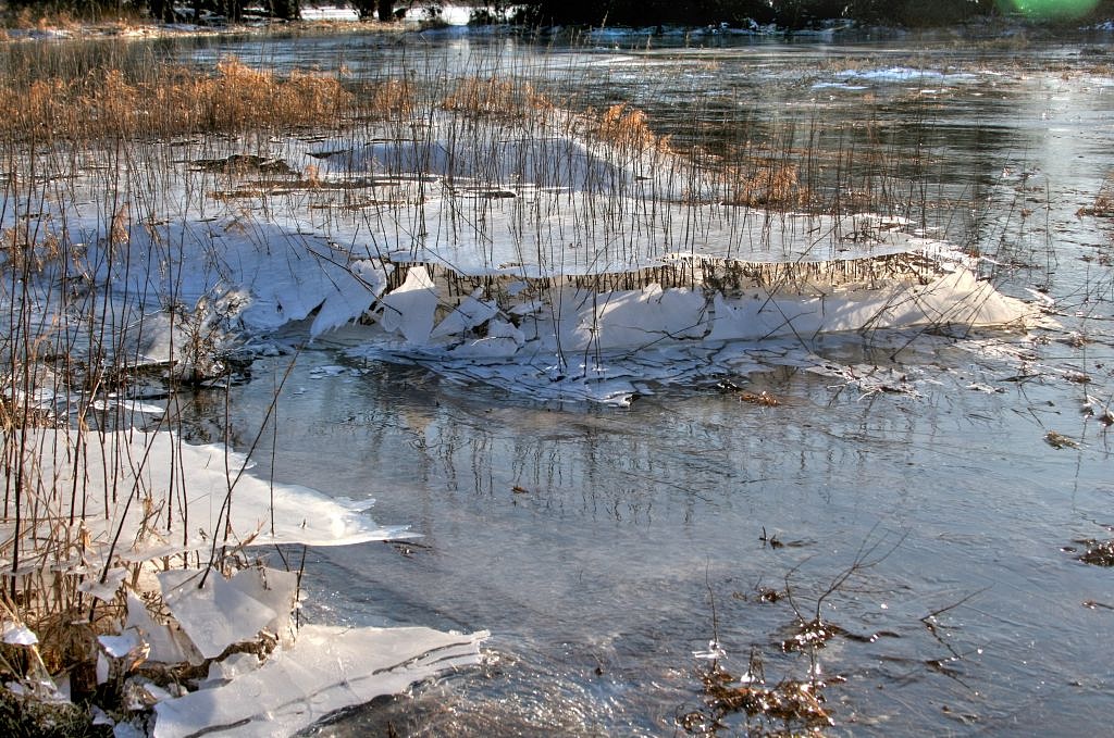 2012_02_01-Parey-Elbe-Eis_nach_Winterhochwasser-007.jpg