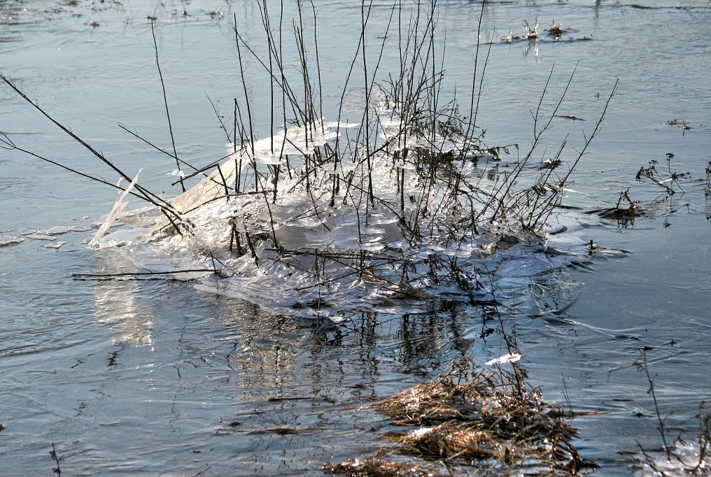 2012_02_01-Parey-Elbe-Eis_nach_Winterhochwasser-008.jpg
