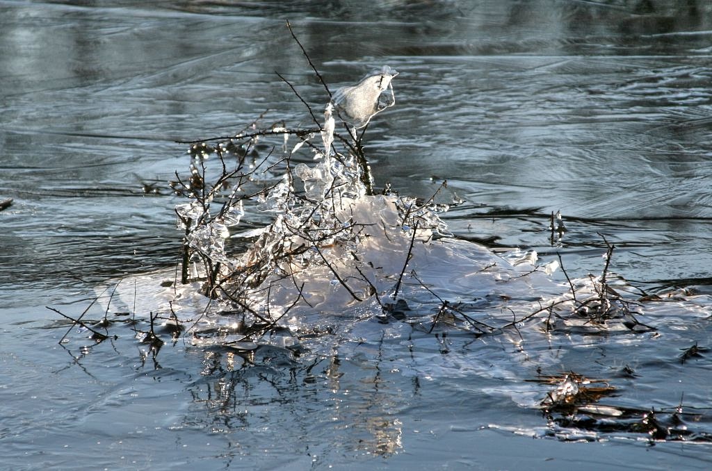 2012_02_01-Parey-Elbe-Eis_nach_Winterhochwasser-009.jpg