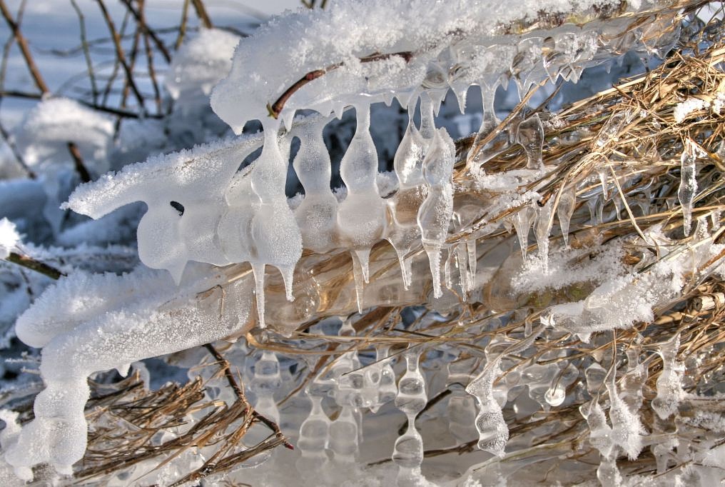 2012_02_06-Parey-Elbe-Eisformen_nach_Winterhochwasser-006.jpg