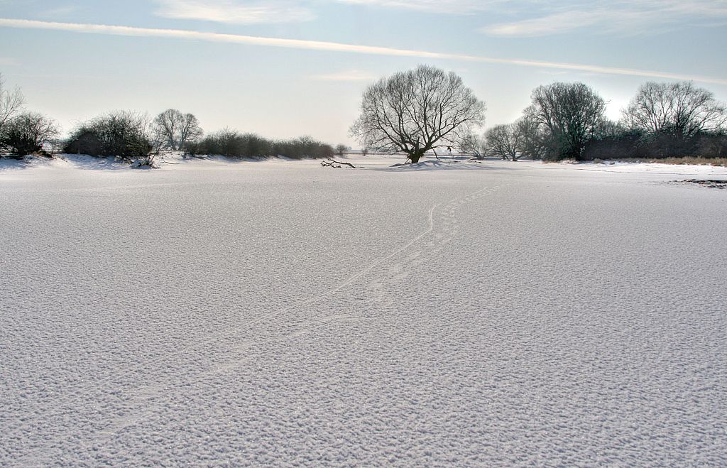 2012_02_08-Parey-Elbe-Eisformen_nach_Winterhochwasser--007.jpg