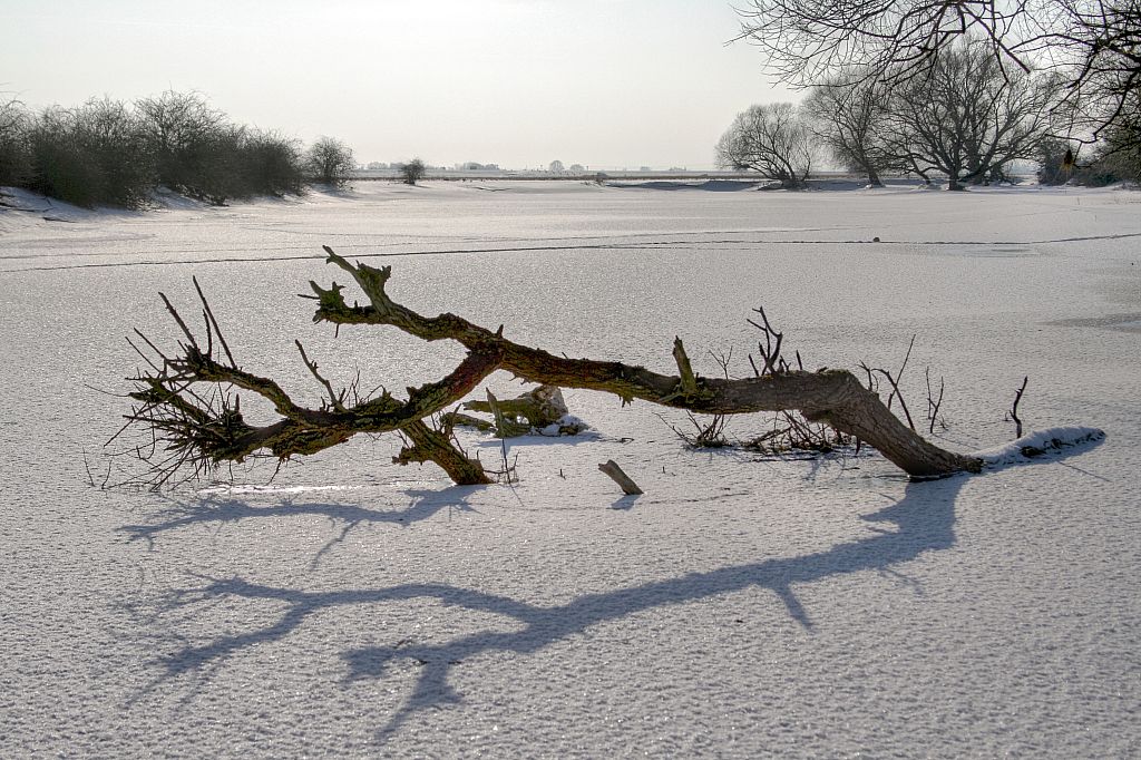 2012_02_08-Parey-Elbe-Eisformen_nach_Winterhochwasser--008.jpg