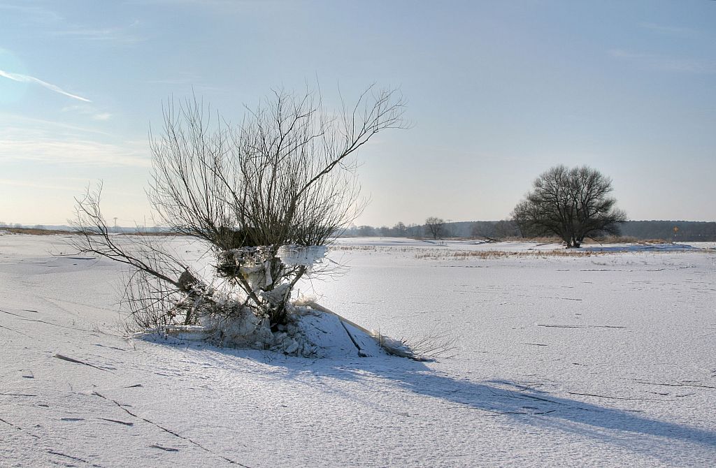 2012_02_08-Parey-Elbe-Eisformen_nach_Winterhochwasser--009.jpg
