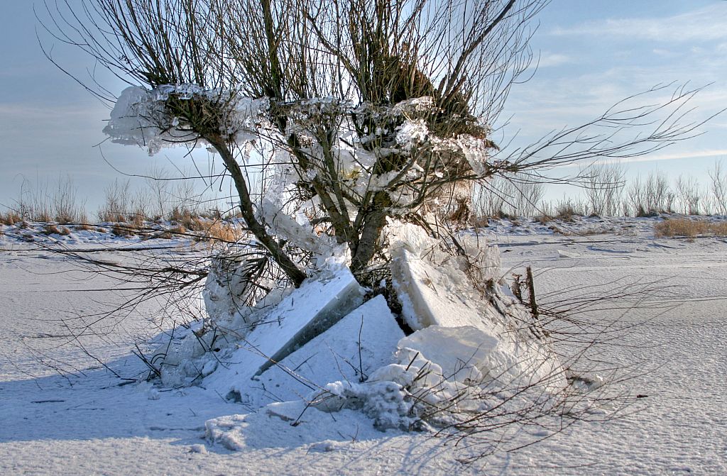 2012_02_08-Parey-Elbe-Eisformen_nach_Winterhochwasser--010.jpg