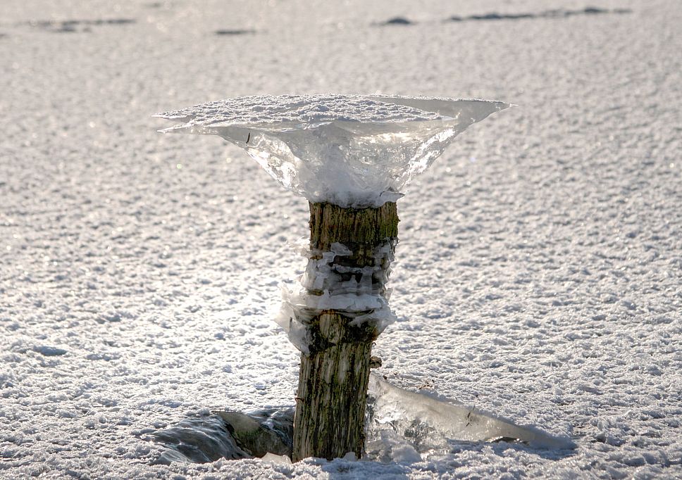 2012_02_08-Parey-Elbe-Eisformen_nach_Winterhochwasser--011.jpg