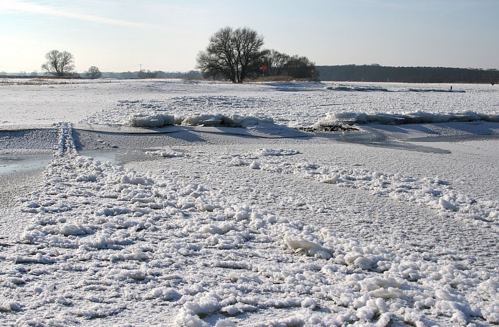 2012_02_08-Parey-Elbe-Eisformen_nach_Winterhochwasser--013.jpg