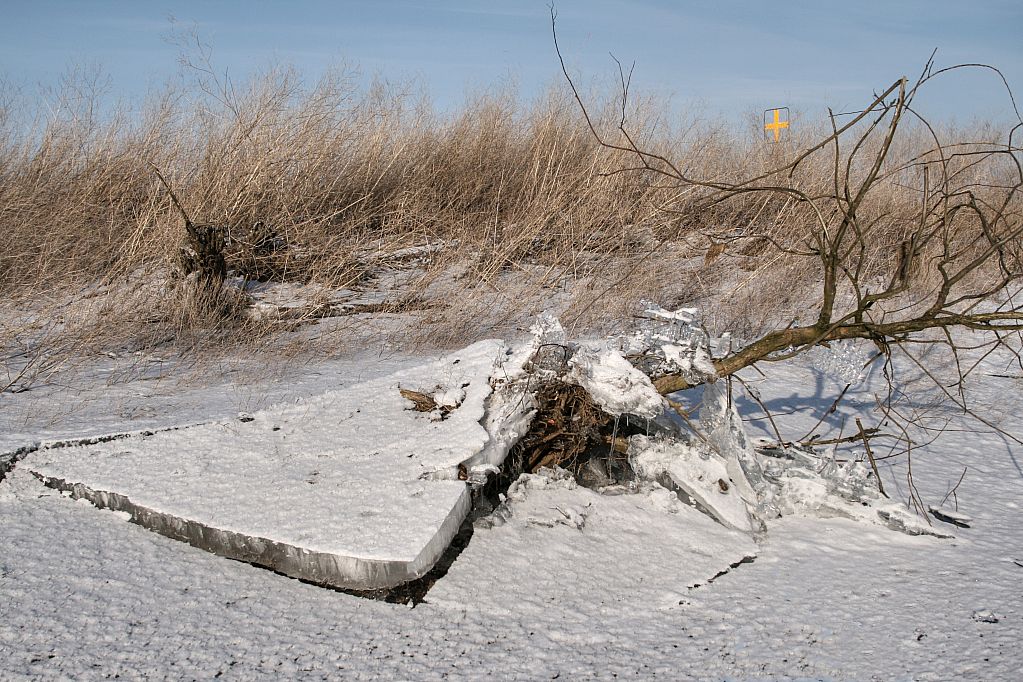 2012_02_08-Parey-Elbe-Eisformen_nach_Winterhochwasser--022.jpg