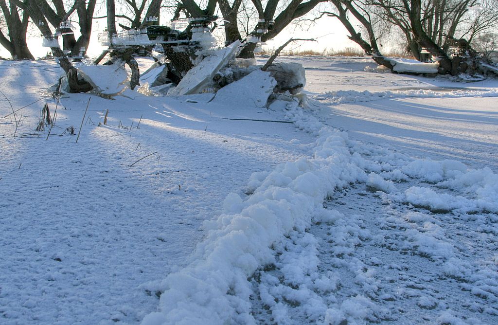 2012_02_08-Parey-Elbe-Eisformen_nach_Winterhochwasser--024.jpg