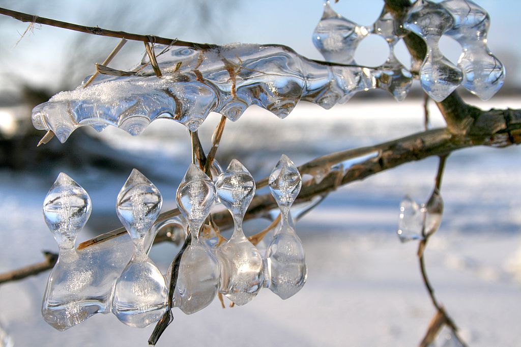 2012_02_08-Parey-Elbe-Eisformen_nach_Winterhochwasser--025.jpg