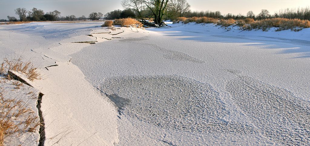 2012_02_08-Parey-Elbe-Eisformen_nach_Winterhochwasser--028.jpg