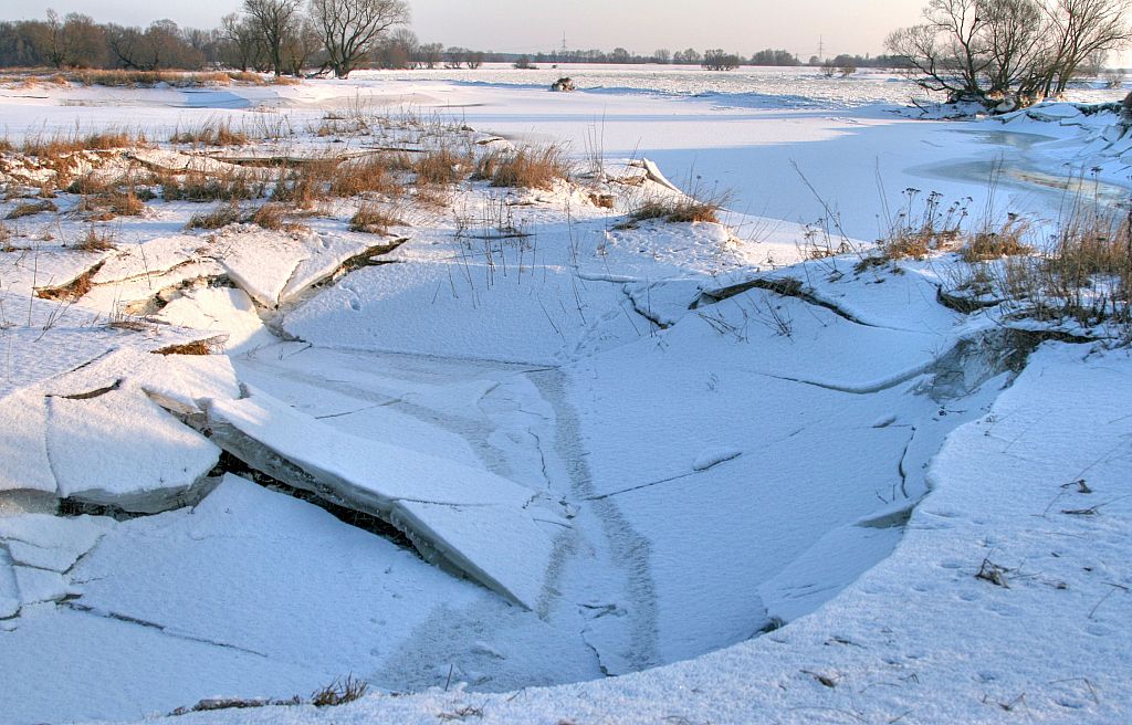 2012_02_08-Parey-Elbe-Eisformen_nach_Winterhochwasser--032.jpg