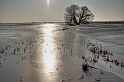 2012_02_01-Parey-Elbe-Eis_nach_Winterhochwasser-019