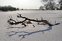 2012_02_08-Parey-Elbe-Eisformen_nach_Winterhochwasser--008