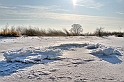 2012_02_08-Parey-Elbe-Eisformen_nach_Winterhochwasser--016